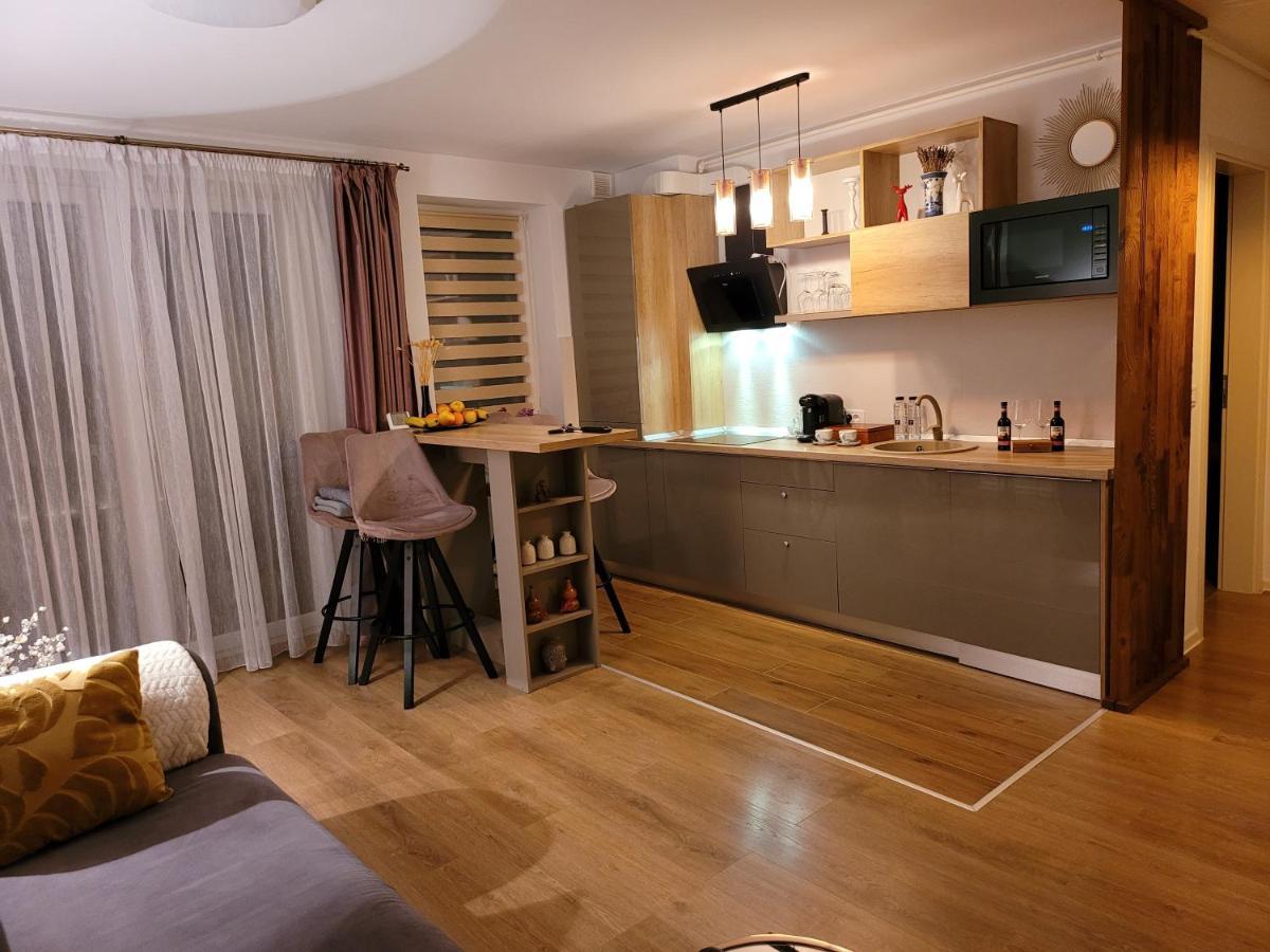 Executive Apartment Avantgarden Coresi Brassó Kültér fotó